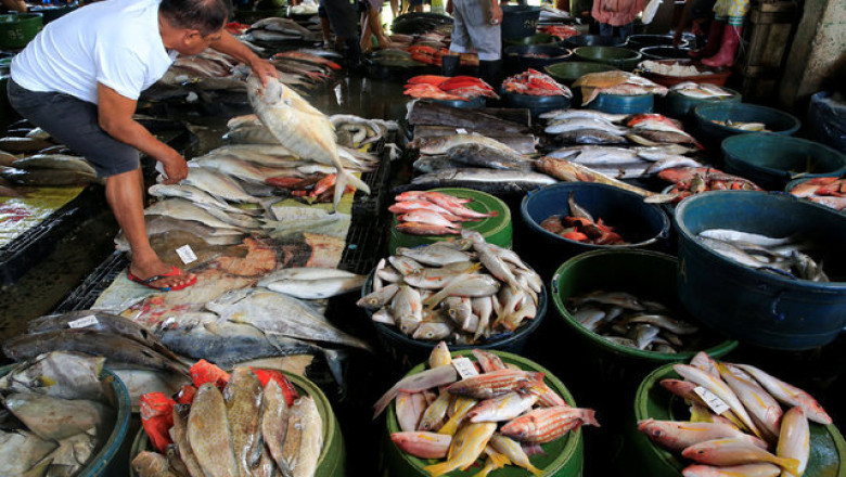 Davao City's seafood prices drop