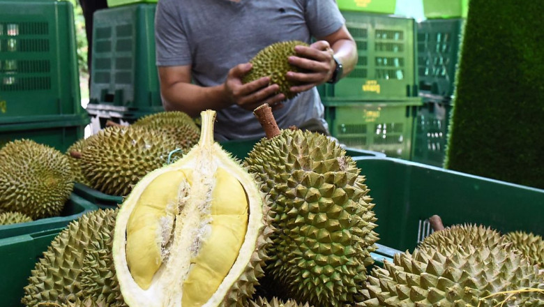 Despite high costs, durian vendors suffer with low sales