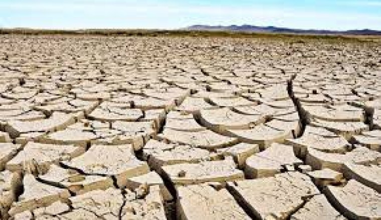 El Niño impacts 556 farmers and 547 hectares of farms in DavSur